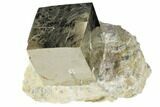 Shiny, Natural Pyrite Cube In Rock - Navajun, Spain #118256-1